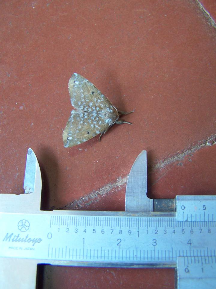 FIGURE 9 FIGURE 9